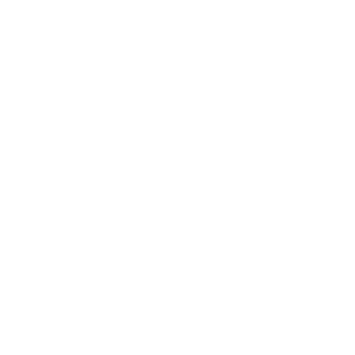 Armor icon