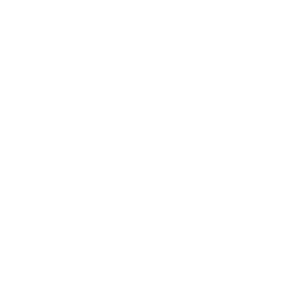 Shotgun icon