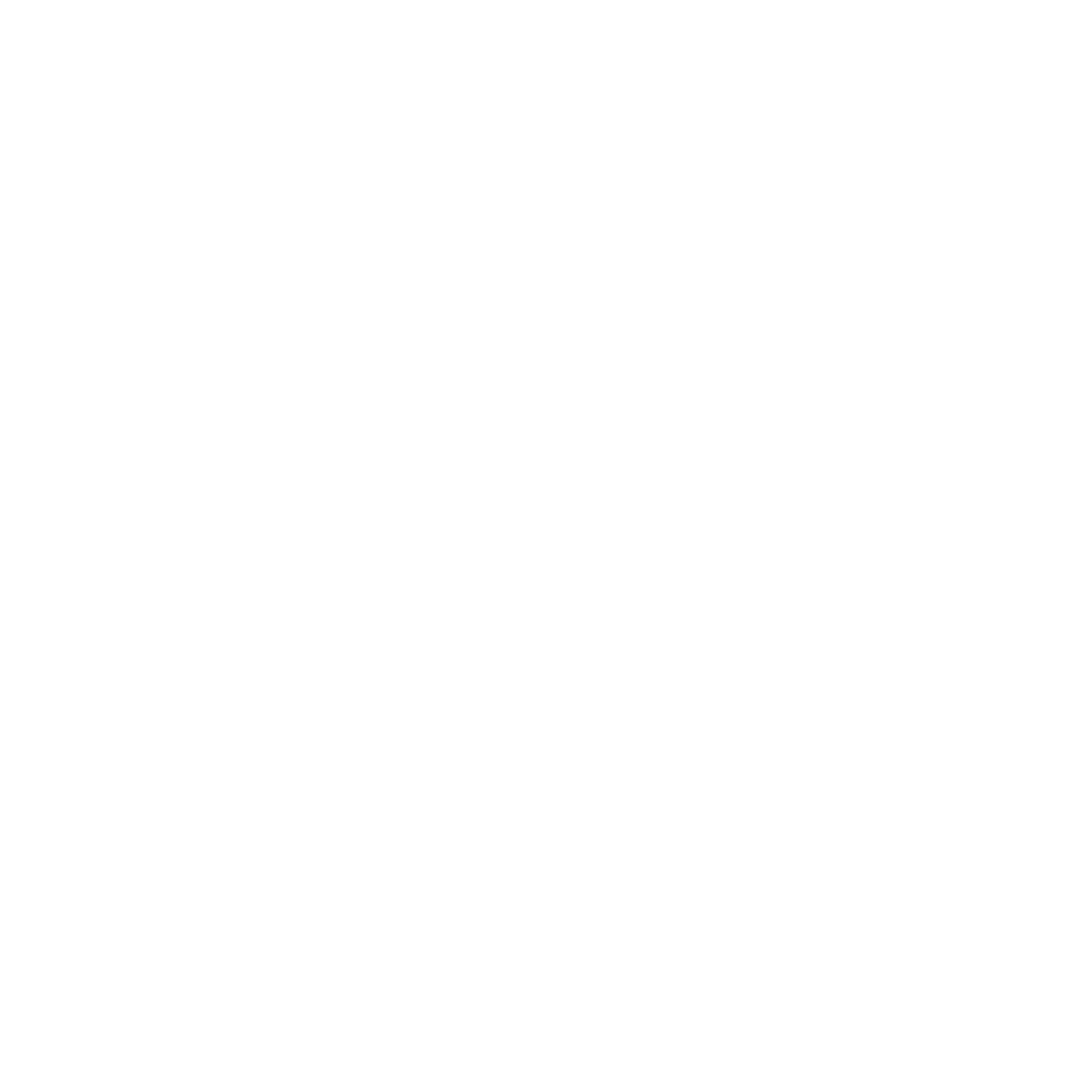 Flashlight icon