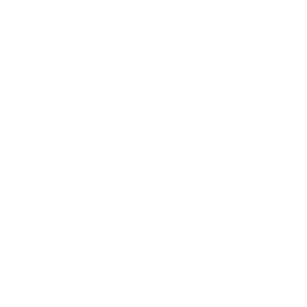 Smartphone icon