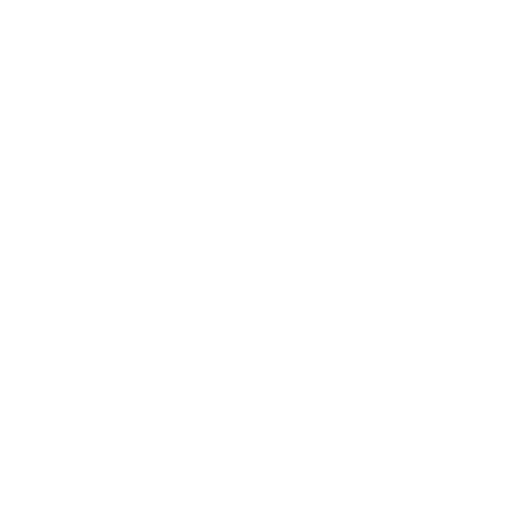 Money icon